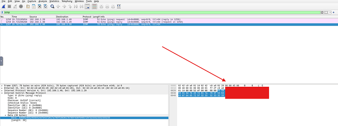 Wireshark Traffic